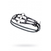 Черный кожаный пояс с кольцами - Pecado - купить с доставкой в Коврове