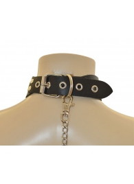 Ошейник  Веселый Роджер - Sitabella - купить с доставкой в Коврове