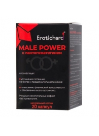 Капсулы для мужчин Erotichard male power с пантогематогеном - 20 капсул (0,370 гр.) - Erotic Hard - купить с доставкой в Коврове