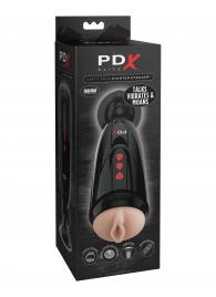 Мастурбатор-вагина с вибрацией Dirty Talk Starter Stroker - Pipedream - в Коврове купить с доставкой