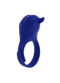 Синее эрекционное виброкольцо с клиторальной подушечкой и пультом ДУ Adjustable Fun Ring - Zero Tolerance - в Коврове купить с доставкой