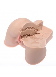 Мастурбатор-полуторс Naked Factory Kate - Naked Factory - в Коврове купить с доставкой