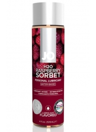 Лубрикант на водной основе с ароматом малины JO Flavored Raspberry Sorbet - 120 мл. - System JO - купить с доставкой в Коврове