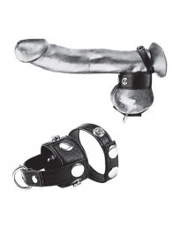 Утяжка для мошонки и пениса Cock Ring With 1  Ball Stretcher And Optional Weight Ring - BlueLine - купить с доставкой в Коврове