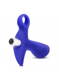 Синий стимулятор простаты с ручкой-кольцом Performance Prostimulator 02 - Blush Novelties - в Коврове купить с доставкой
