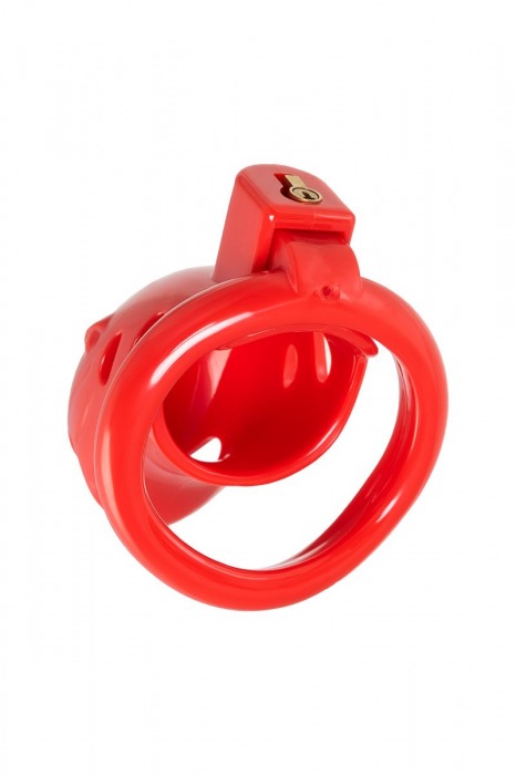 Красный мужской пояс верности из пластика - ToyFa - купить с доставкой в Коврове