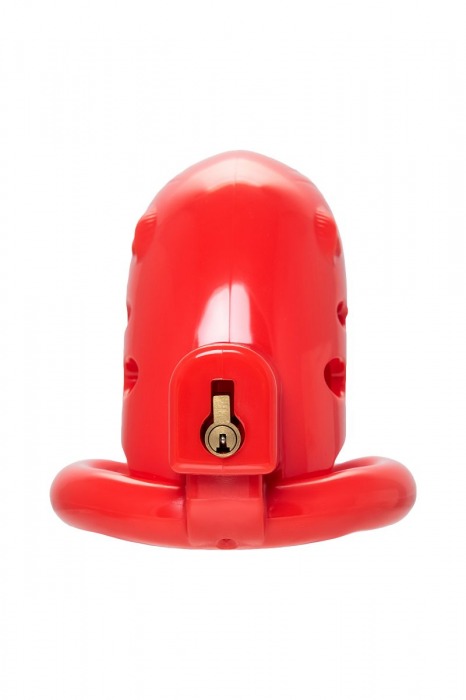 Красный мужской пояс верности из пластика - ToyFa - купить с доставкой в Коврове