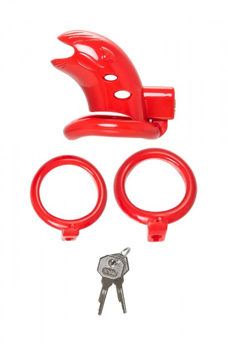 Красный мужской пояс верности из пластика - ToyFa - купить с доставкой в Коврове