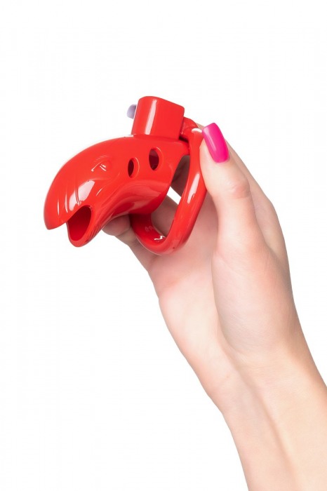 Красный мужской пояс верности из пластика - ToyFa - купить с доставкой в Коврове