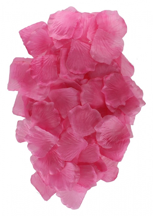 Эротический набор FANTASTIC PURPLE SEX TOY KIT - Toy Joy - купить с доставкой в Коврове