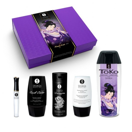 Подарочный набор Naughter Kit - Shunga - купить с доставкой в Коврове
