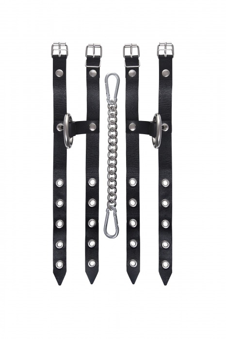 Черные однослойные кожаные оковы из двух ремешков - Pecado - купить с доставкой в Коврове