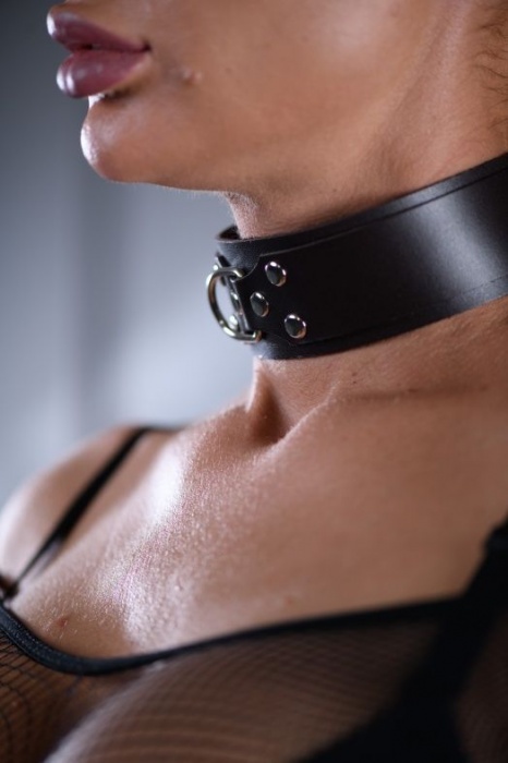 Коричневый ошейник Sex Game с поводком - БДСМ Арсенал - купить с доставкой в Коврове