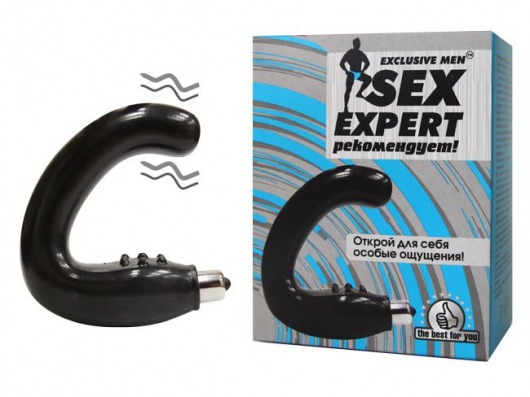 Чёрный массажёр простаты серии Sex Expert - Sex Expert - в Коврове купить с доставкой