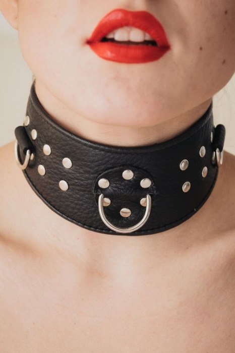 Кожаный ошейник для эротических игр - БДСМ Арсенал - купить с доставкой в Коврове