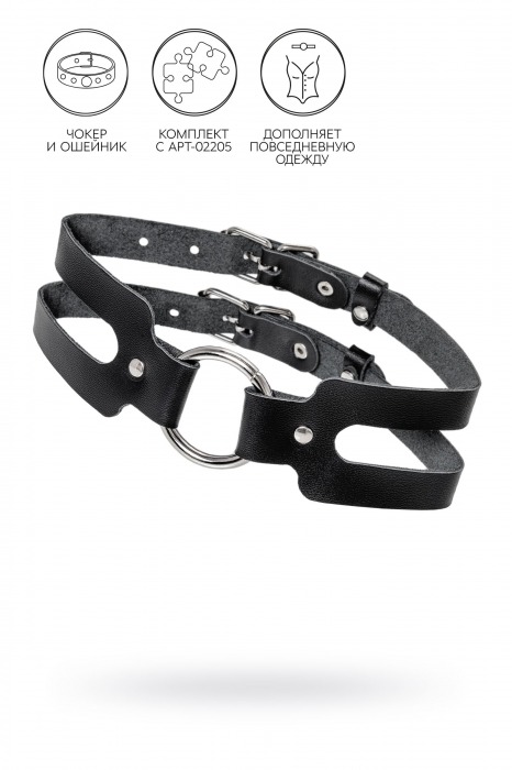 Черный кожаный чокер-ошейник из двух ремешков - Pecado - купить с доставкой в Коврове