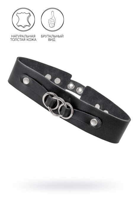 Черный чокер-ошейник со связанными кольцами на подложке - Pecado - купить с доставкой в Коврове