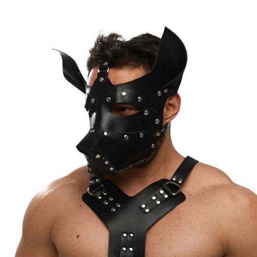 Черная кожаная маска «Собака» - Crazy Handmade - купить с доставкой в Коврове