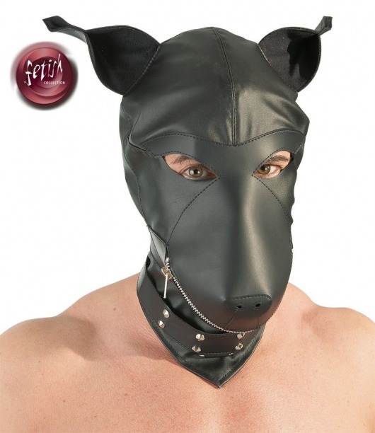 Шлем-маска Dog Mask в виде морды собаки - Orion - купить с доставкой в Коврове