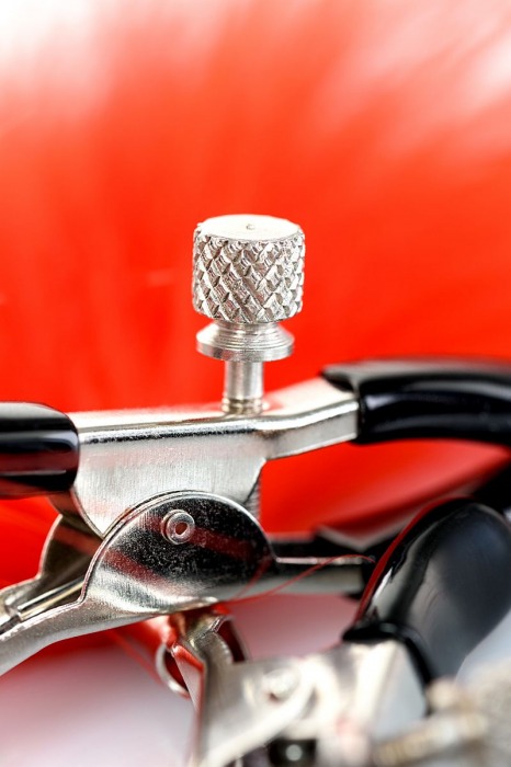 Зажимы для сосков с красным пухом Theatre - ToyFa - купить с доставкой в Коврове